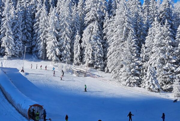 Lernen und Spaß im Schnee mit WSS Ski