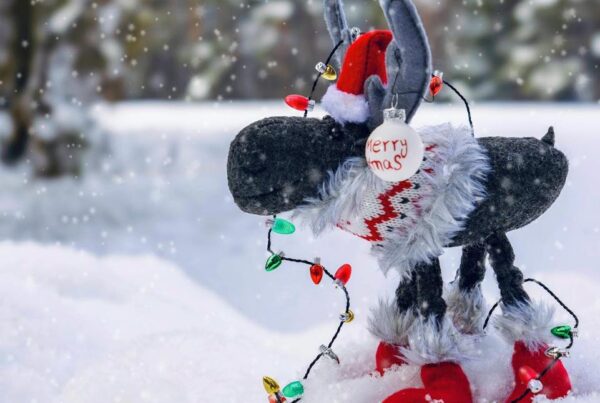 Merry Christmas from WSS SKI school in Hinterstoder